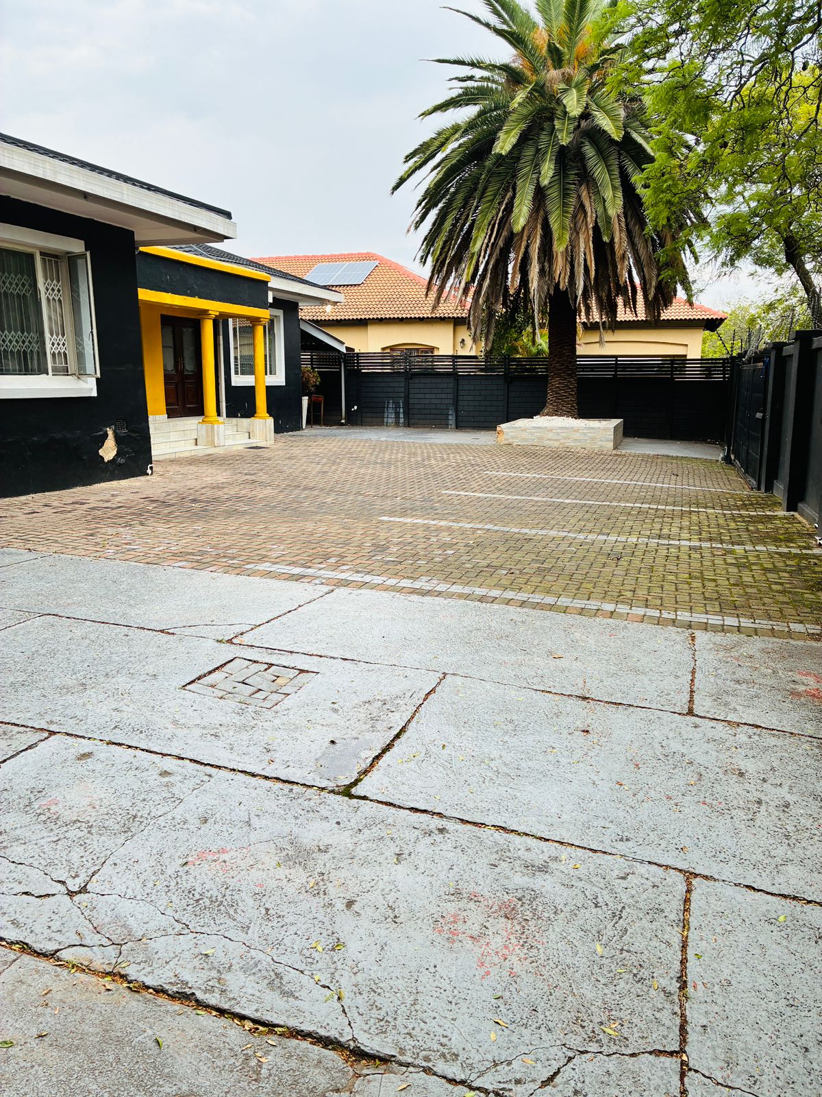 Driveway and front yard with palm tree